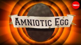 The gamechanging amniotic egg  April Tucker [upl. by Ticknor]