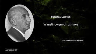 Bolesław Leśmian  W malinowym chruśniaku [upl. by Alsi269]