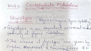 Biochemistry of metabolic processes Carbohydrates Metabolism Unit 2 Paper 10 Semester 4 zoology [upl. by Ahseiyt]