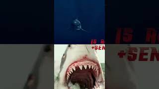 Cretoxyrhina Vs Great White Shark Shorts Sharks Ocean Prehistoric [upl. by Anaxor91]