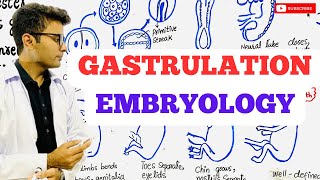 Embryology  Gastrulation [upl. by Novar]