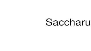 How to pronounce Saccharum [upl. by Marasco]