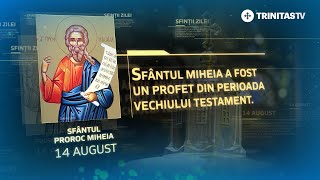 Sfântul Proroc Miheia – 14 august Sinaxar [upl. by Eudo]