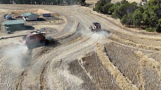 Canola harvest picking up the windrows [upl. by Ramgad]