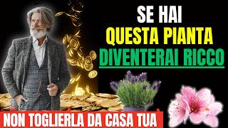 DIVENTA RICCO VELOCEMENTE LE PIANTE CHE TI RENDERANNO RICCO E FORTUNATO 🌿💰  LEGGE DELLATTRAZIONE [upl. by Aphrodite578]