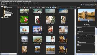 Organize Your Digital Images  PaintShop Photo Pro X3 [upl. by Dnama]