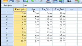 Paired Sample ttest [upl. by Borer]