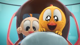 Wheres Chicky Funny Chicky 2022 🚁 CHICKY HELICOPTER PILOT 🚁 Chicky Cartoon in English for Kids [upl. by Yam]