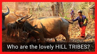 HILL TRIBES IN THAILAND  Who Are They 🧙‍♂️  Are They Worth a Visit  Oh yeah 🧙‍♀️ [upl. by Aramaj589]