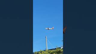 Sunwing Airlines B737 MAX 8 Toronto to Cayo Coco Takeoff flightspotting torontoairport ytshorts [upl. by Llehctim]