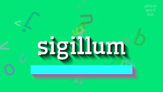 SIGILLUM  How to say Sigillum [upl. by Eram]