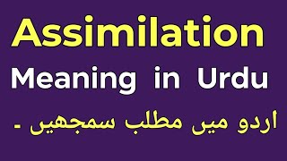 Assimilation Meaning in Urdu  Assimilation Ka Matlab Kya Hota Hai  English With Raaz [upl. by Anawot]