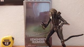 NECA Aliens Xenomorph Warrior 2013 S PIDERs monster review [upl. by Idahs263]