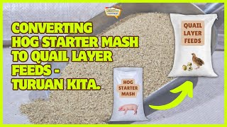 Converting Hog Starter Mash to Quail Layer Feeds  Turuan Kita [upl. by Stalker]