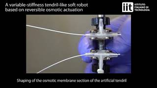 Tendrillike soft robot based on reversible osmotic actuation [upl. by Nahta]