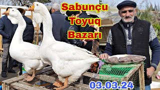 Sabunçu Toyuq Bazarı 3 mart 2024 elixezer2 [upl. by Airtemed]