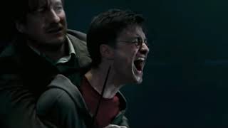 harrys unmuted scream in sirius death harry potter and the order of the phoenix [upl. by Heng]