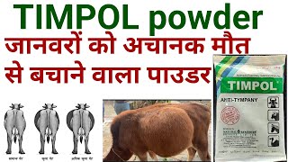 Timpol anti tympany veterinary powder ke kya upyog haitimpol powder uses in hindi in veterinary [upl. by Lytsyrk]