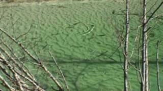 Fliegenfischen im Landhotel Almrösl  Huettschlag  Großarl  Salzburger Land [upl. by Cheng545]