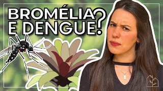 A BROMÉLIA É FOCO DE MOSQUITO DA DENGUE  Descubra como cultivar a bromélia do jeito certo [upl. by Tsugua560]