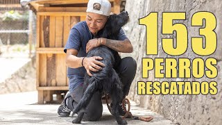 Visité con ADOPTIST este REFUGIO para PERROS en el Estado de México  150 perros de TODAS LAS RAZAS [upl. by Sheng883]