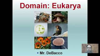 Prokaryotic vs Eukaryotic Cells Updated [upl. by Fernande]