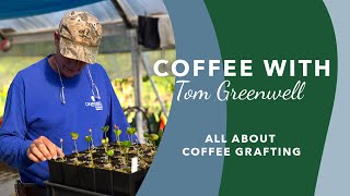 Coffee with Tom Greenwell Episode 3 All About Coffee Grafting [upl. by Crandall963]