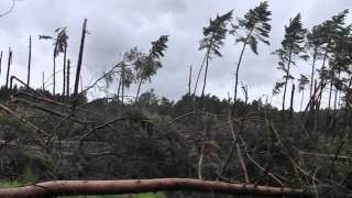 Stormschade bos Zutendaal [upl. by Llerahs]