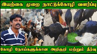 இயற்கை முறை நாட்டுக்கோழி வளர்ப்பு  Nattu Koli Valarpu Tamil  Kozhi Pannai  Swathi Organic Farm [upl. by Geibel]