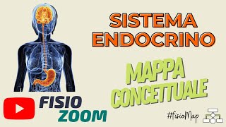 Il Sistema Endocrino FisioMap [upl. by Odine]