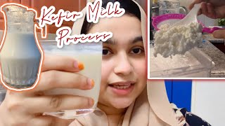 how to make kefir milk yogurt  magic drink for your beauty [upl. by Ha]