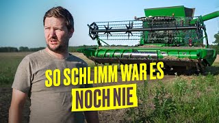 Horror Ernte 2023 NUR Verlust durch Dürre und Starkregen Farm Vlog I Hundert Hektar Heimat [upl. by Hgielak]