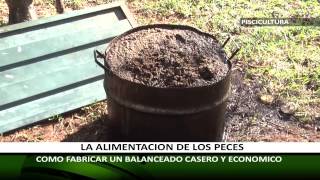 COMO HACER BALANCEADO CASERO PARA PECES [upl. by Trabue]