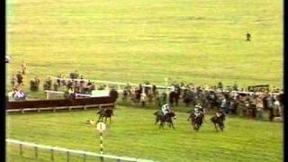 1981 Hennessy Cognac Gold Cup Handicap Chase [upl. by Sana]