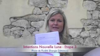 Intentions Nouvelle Lune Etape 3 Fluidité [upl. by Annaert]