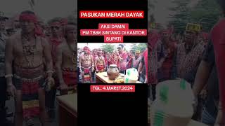 PASUKAN MERAH DAYAK DEMO DI SINTANG HARI INI pasukanmerahdayak [upl. by Wakefield49]