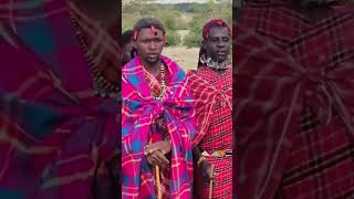 Maasai Nation🔥🌹 masai duet shortvideo shorts short love funny [upl. by Aihsak]