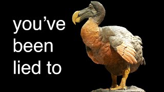 The REAL reason The Dodo Went Extinct [upl. by Ahsenyl]