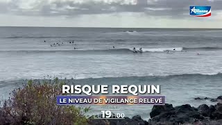 🇷🇪🦈RisqueRequin  recrudescence des observations et des captures  7092024 [upl. by Dnamron172]