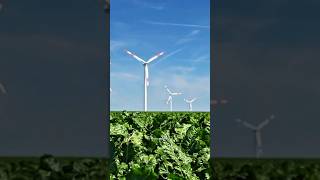 How does wind turbines generate electricity science facts [upl. by Anilra413]