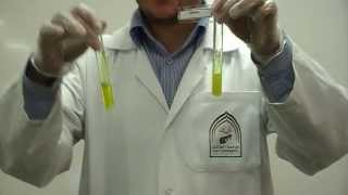 Picric Acids test Part 2 to differentiate between Gelatin amp peptone [upl. by Zarah]