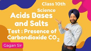 Test the presence of Carbon dioxide  Acid Bases and Salts  Class 10th Science  Gagan Sir [upl. by Anisirhc717]