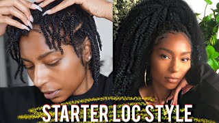 How to Sleek Ponytail with Kanekalon Starter Locs Style  iamLindaElaine [upl. by Adialeda]