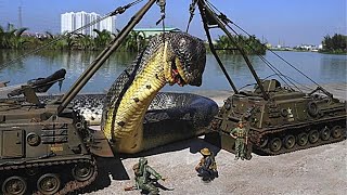 The Largest Snake On Earth Was Caught On Camera Is that a Titanoboa [upl. by Uria]