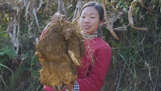 Chinese Food  Dioscorea opposita and Preserved spareribs農村的淮山藥個頭都特別大，隨便拿一點來做兩個家常菜，都很好吃 [upl. by Lenoj347]