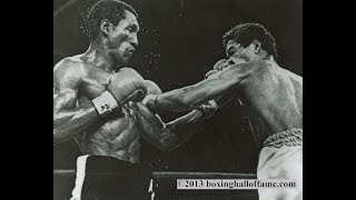 Wilfred Benitez vs Antonio Cervantes Highlights [upl. by Ahsirtak163]