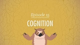 Cognition  How Your Mind Can Amaze and Betray You Crash Course Psychology 15 [upl. by Idham]