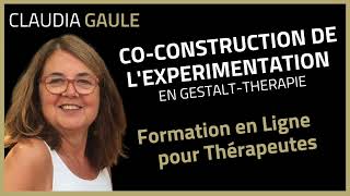 CoConstruction de lExpérimentation en Gestalt avec Claudia Gaulé [upl. by Baruch201]