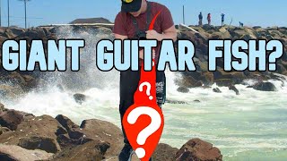 Caught GIANT Guitar Fish  San Diego Bay [upl. by Yenreit]