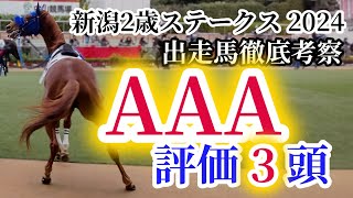 【新潟2歳S 2024】極限の直線スピード勝負！コートアリシアン、シンフォーエバーのスピード能力の水準は！？新潟2歳ステークスの出走予定馬を徹底考察！ [upl. by Borlase]